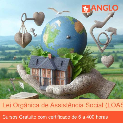 Lei Orgânica de Assistência Social (LOAS)